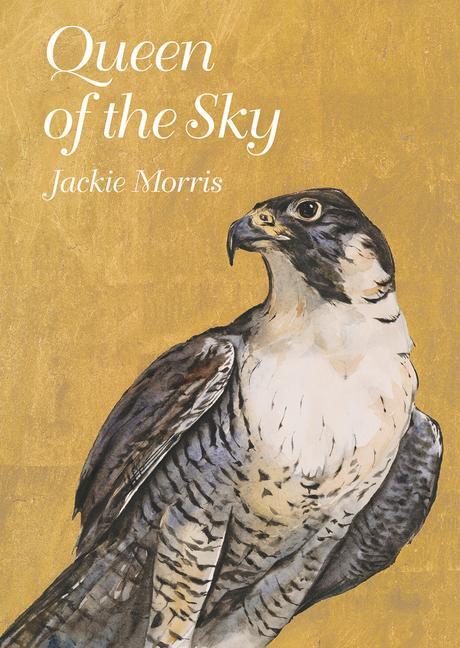 Vorderes Coverbild Queen of the Sky
