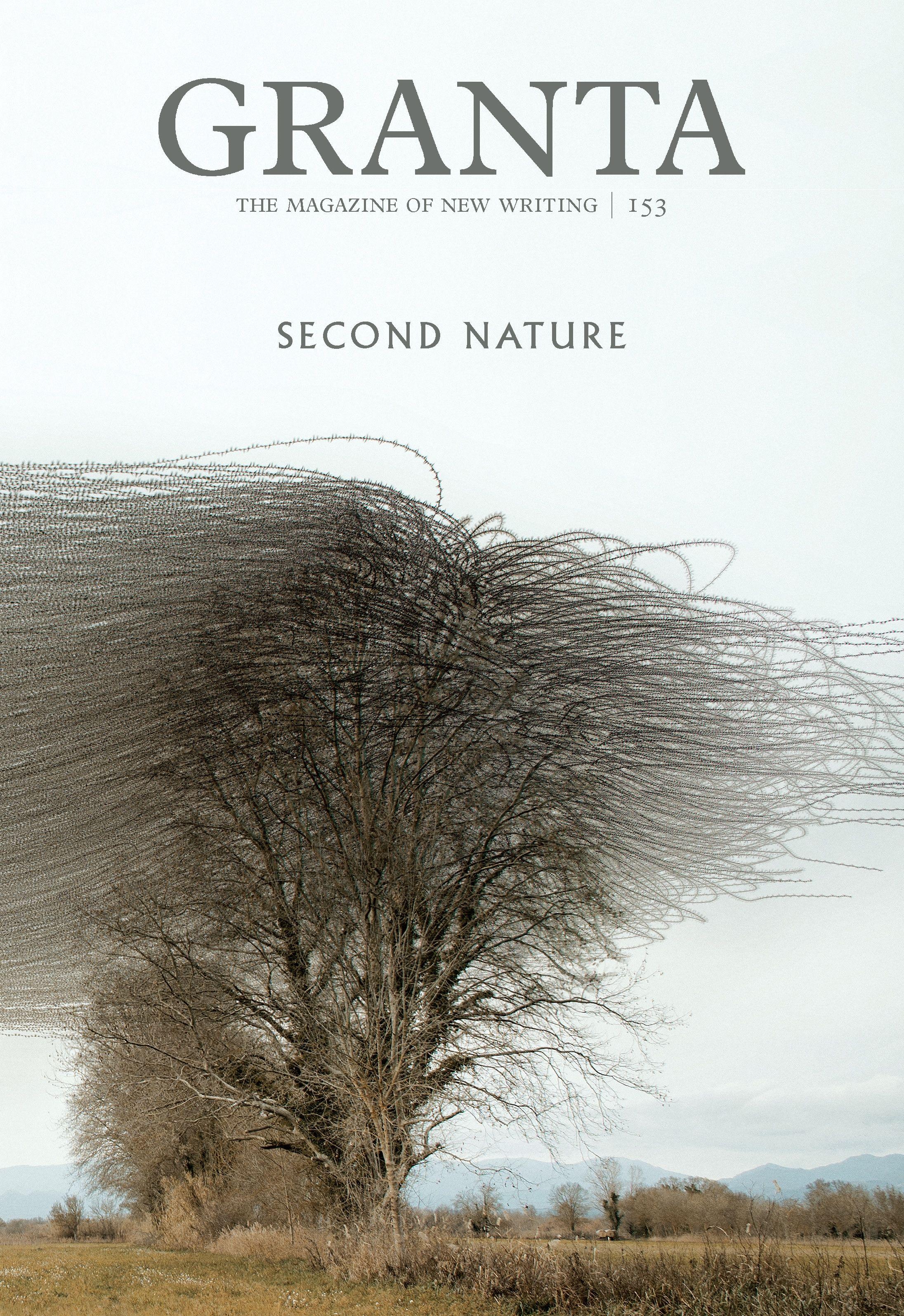 Vorderes Coverbild Granta 153: Second Nature