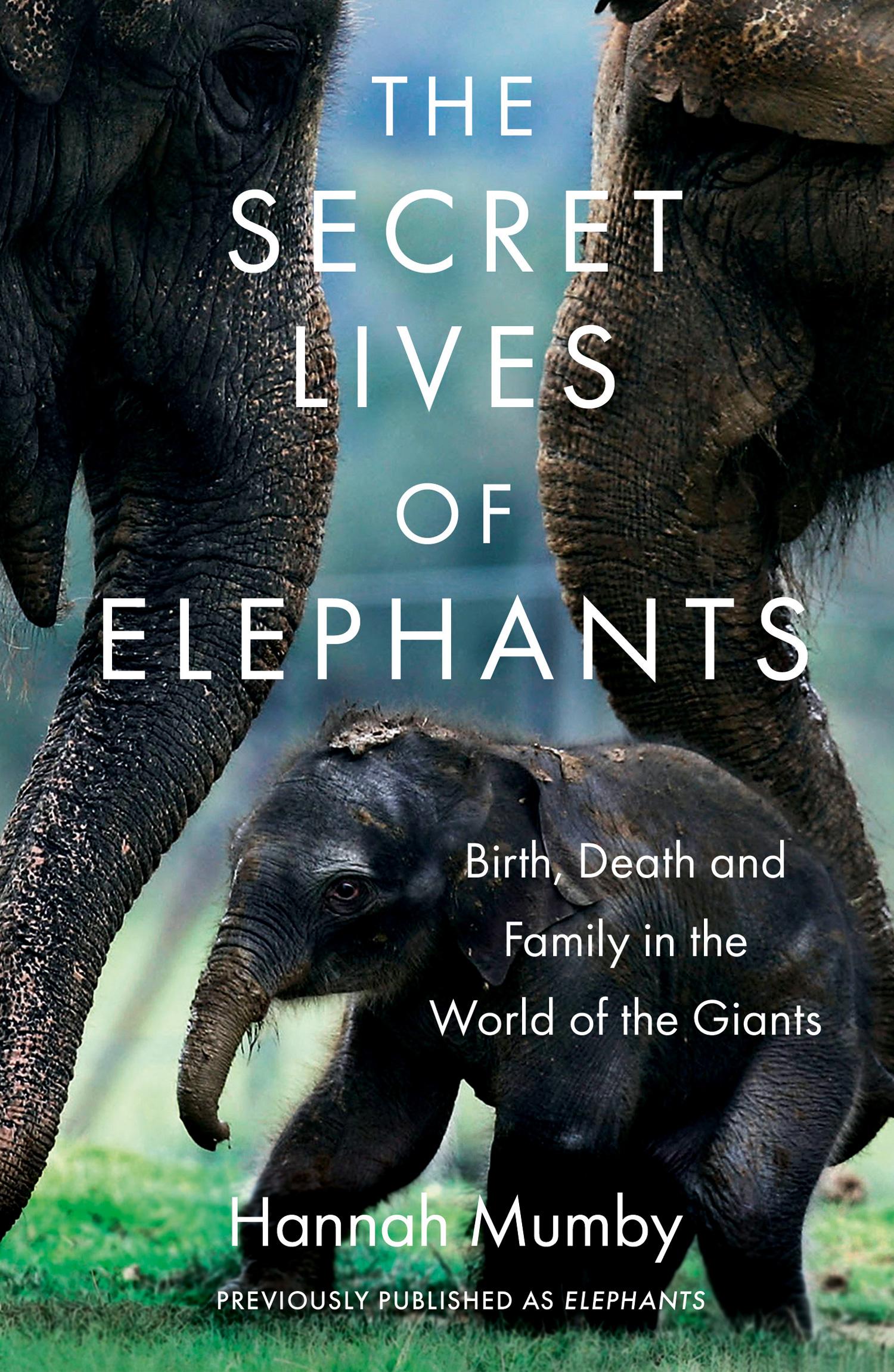 Vorderes Coverbild The Secret Lives of Elephants