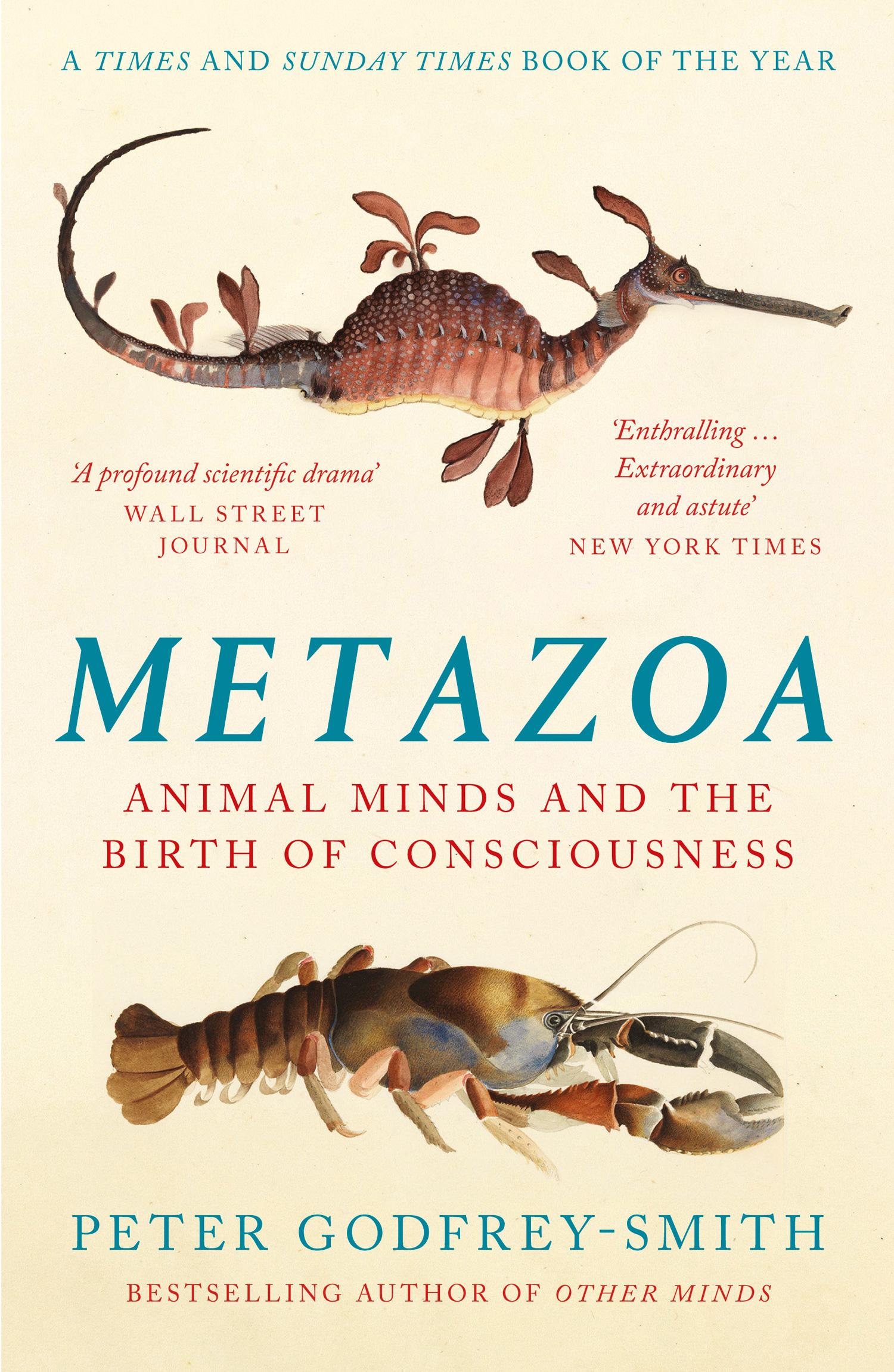 Vorderes Coverbild Metazoa