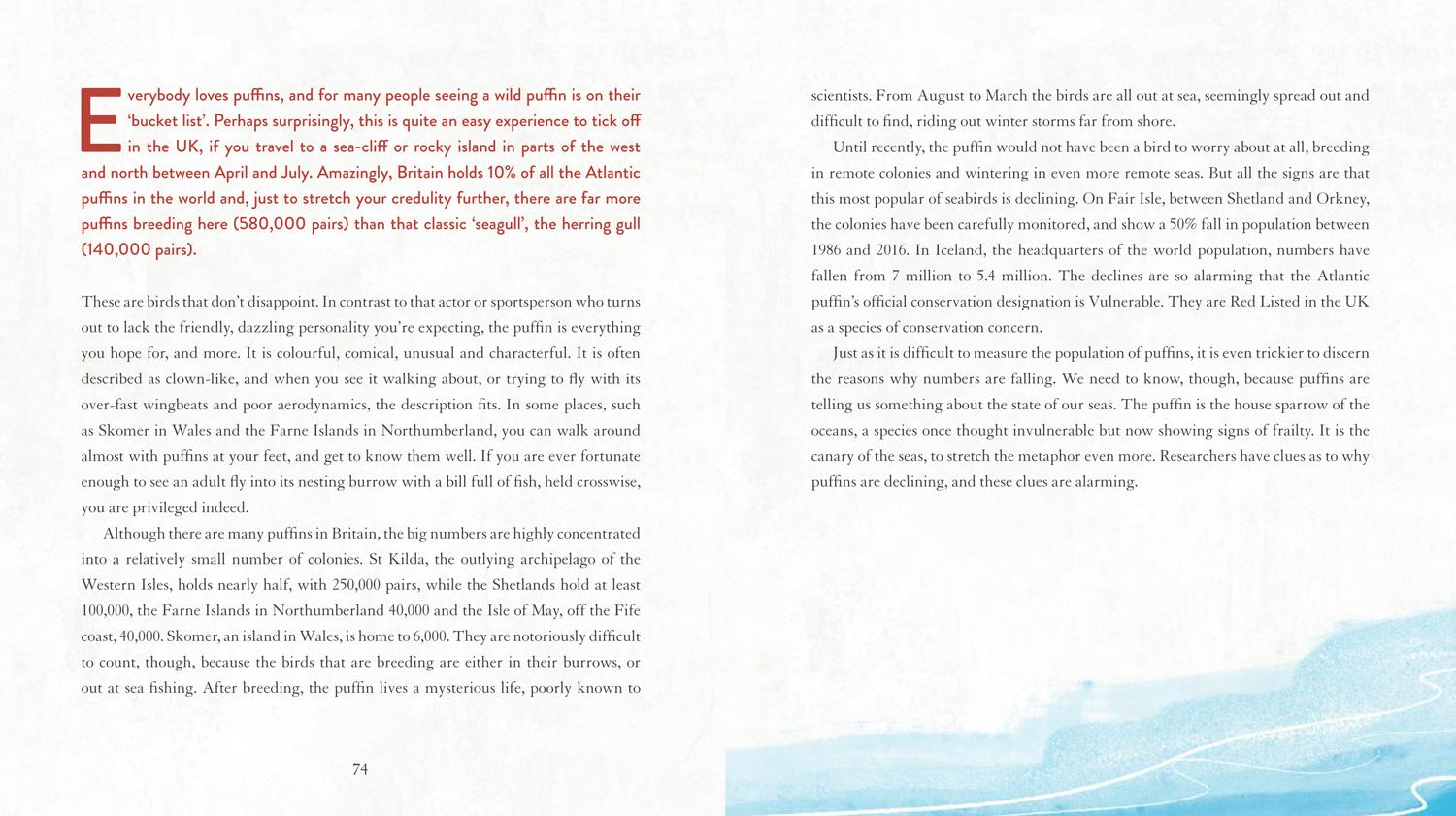 Beispielinhalt (Bild) Save Our Species