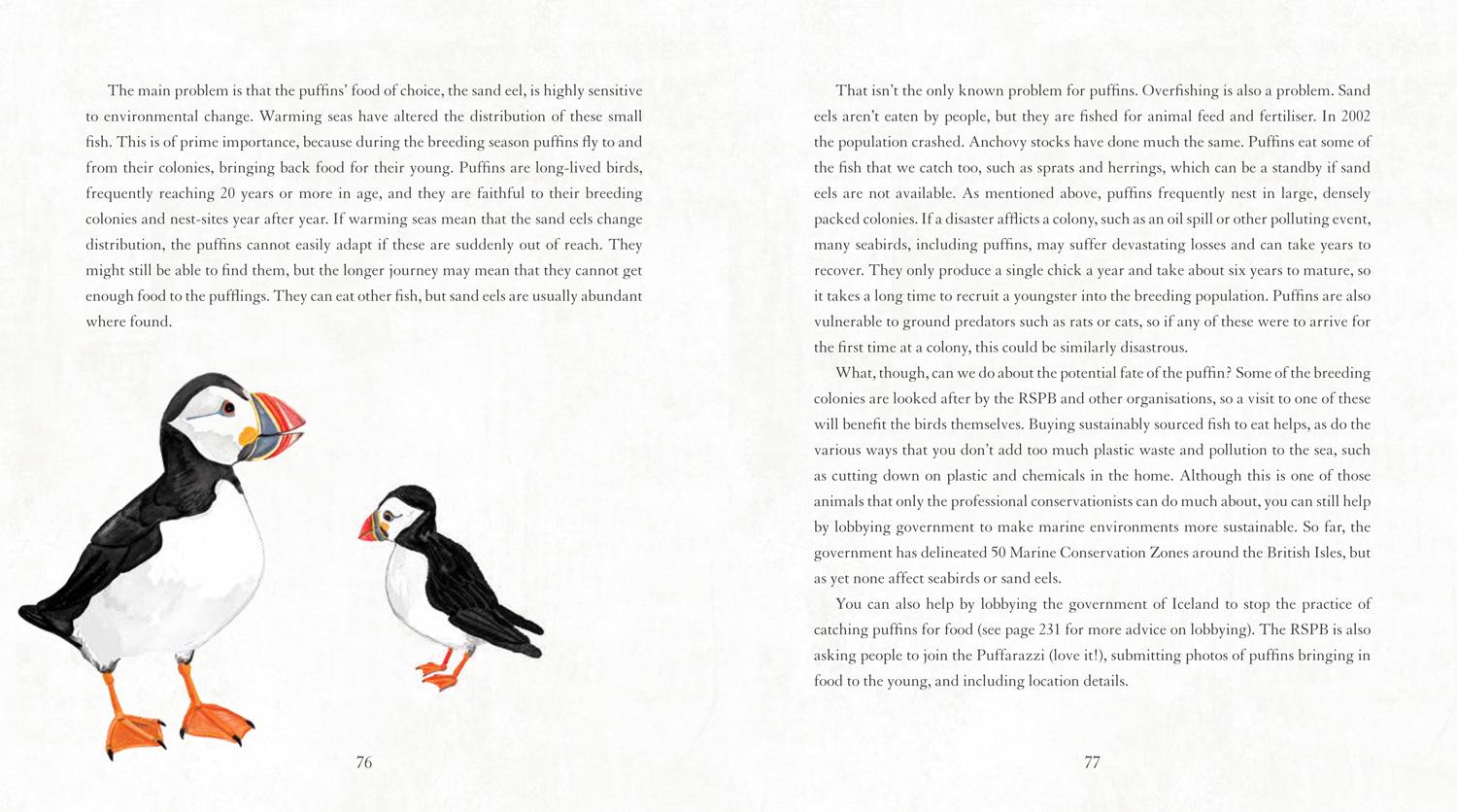 Beispielinhalt (Bild) Save Our Species