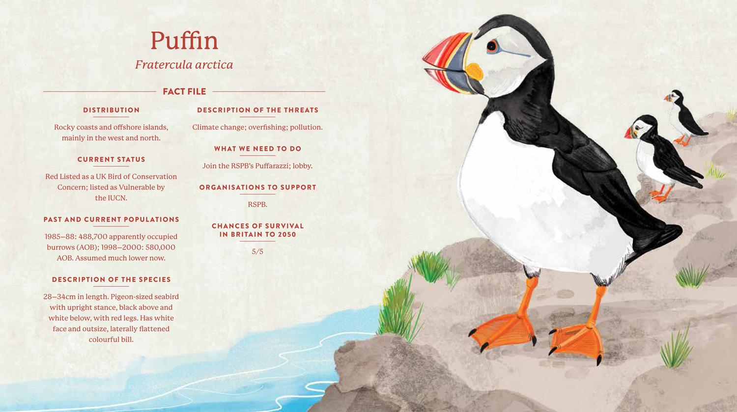 Beispielinhalt (Bild) Save Our Species