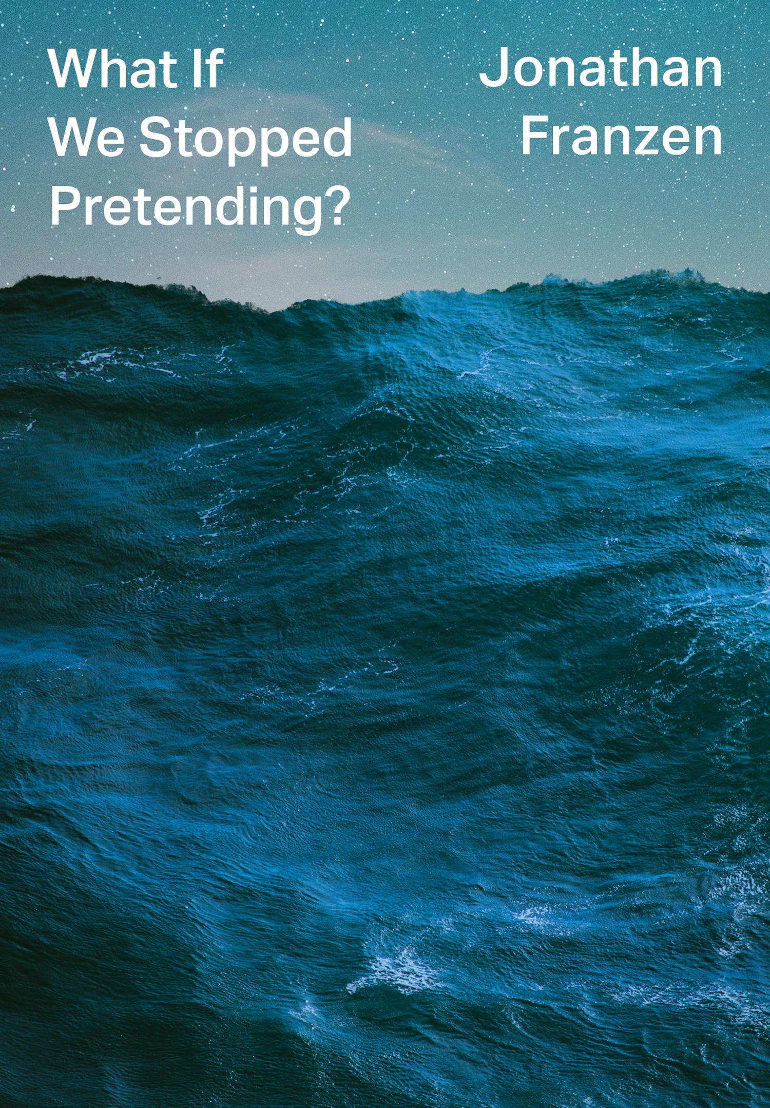 Vorderes Coverbild What If We Stopped Pretending?