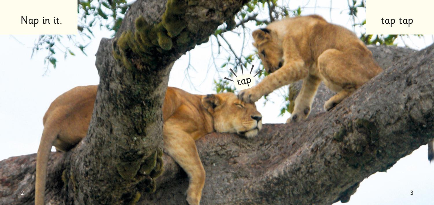 Beispielinhalt (Bild) Nap in it