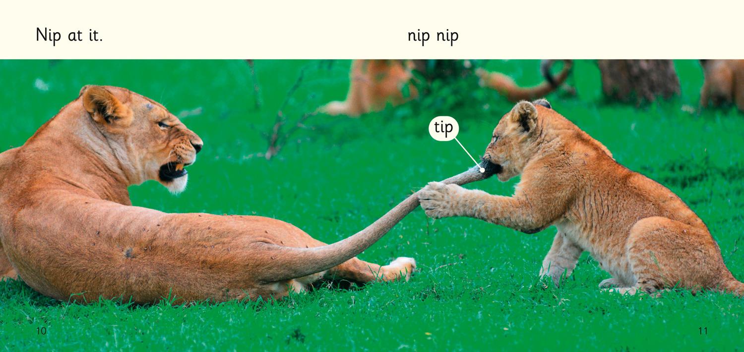 Beispielinhalt (Bild) Nap in it