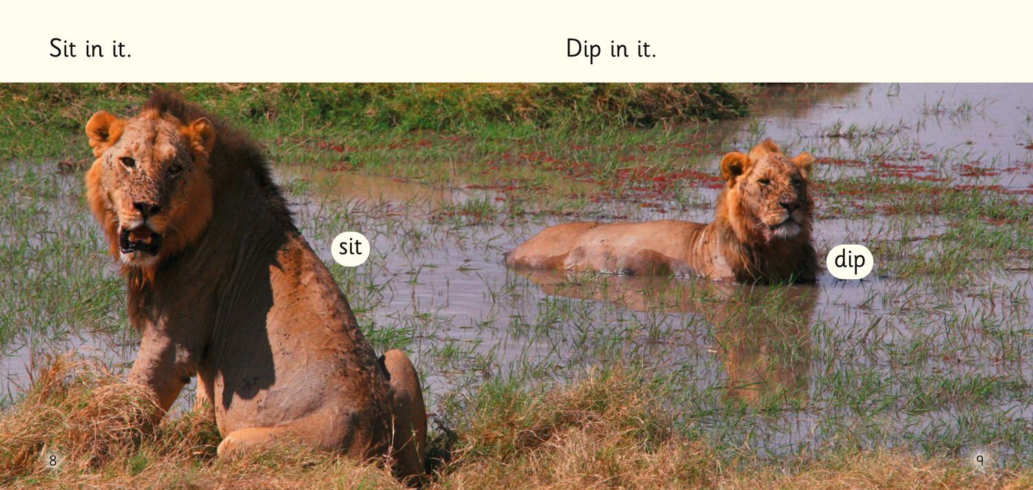 Beispielinhalt (Bild) Nap in it