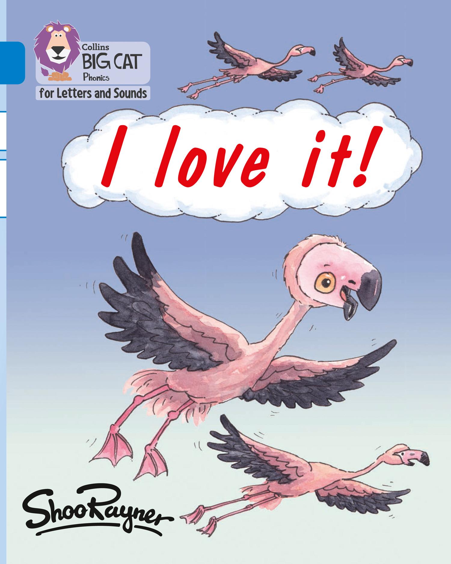 Vorderes Coverbild I love it!