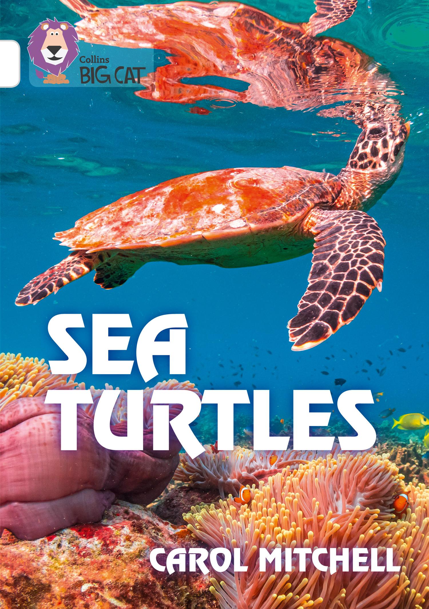 Vorderes Coverbild Sea Turtles
