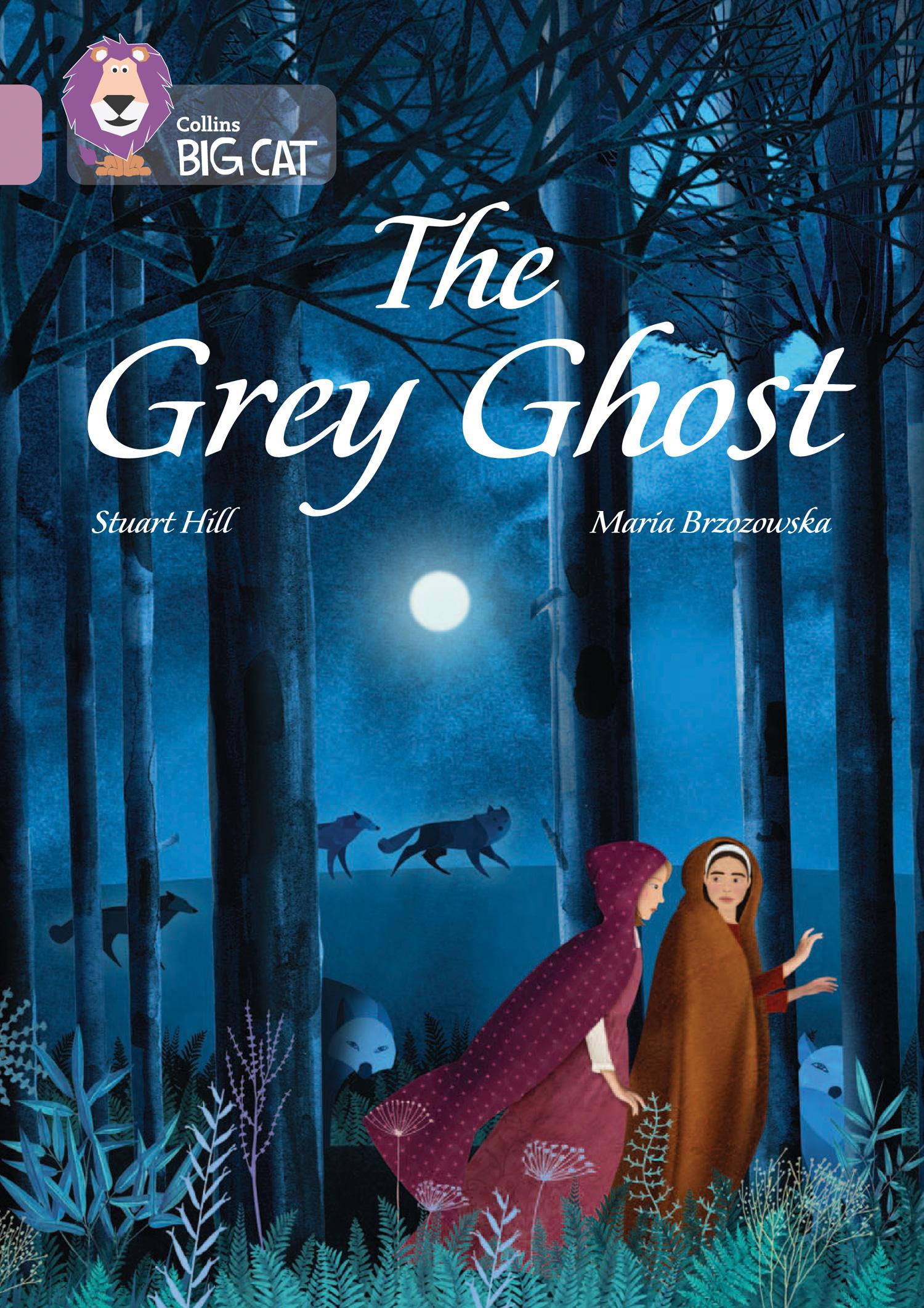 Vorderes Coverbild The Grey Ghost