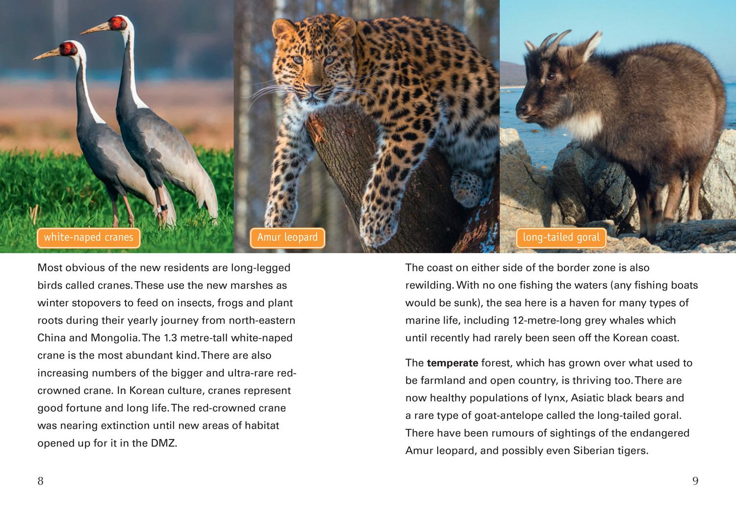 Beispielinhalt (Bild) Nature Fights Back