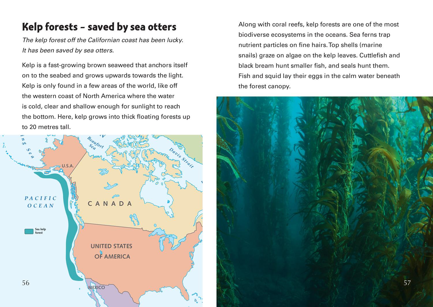 Beispielinhalt (Bild) Nature Fights Back