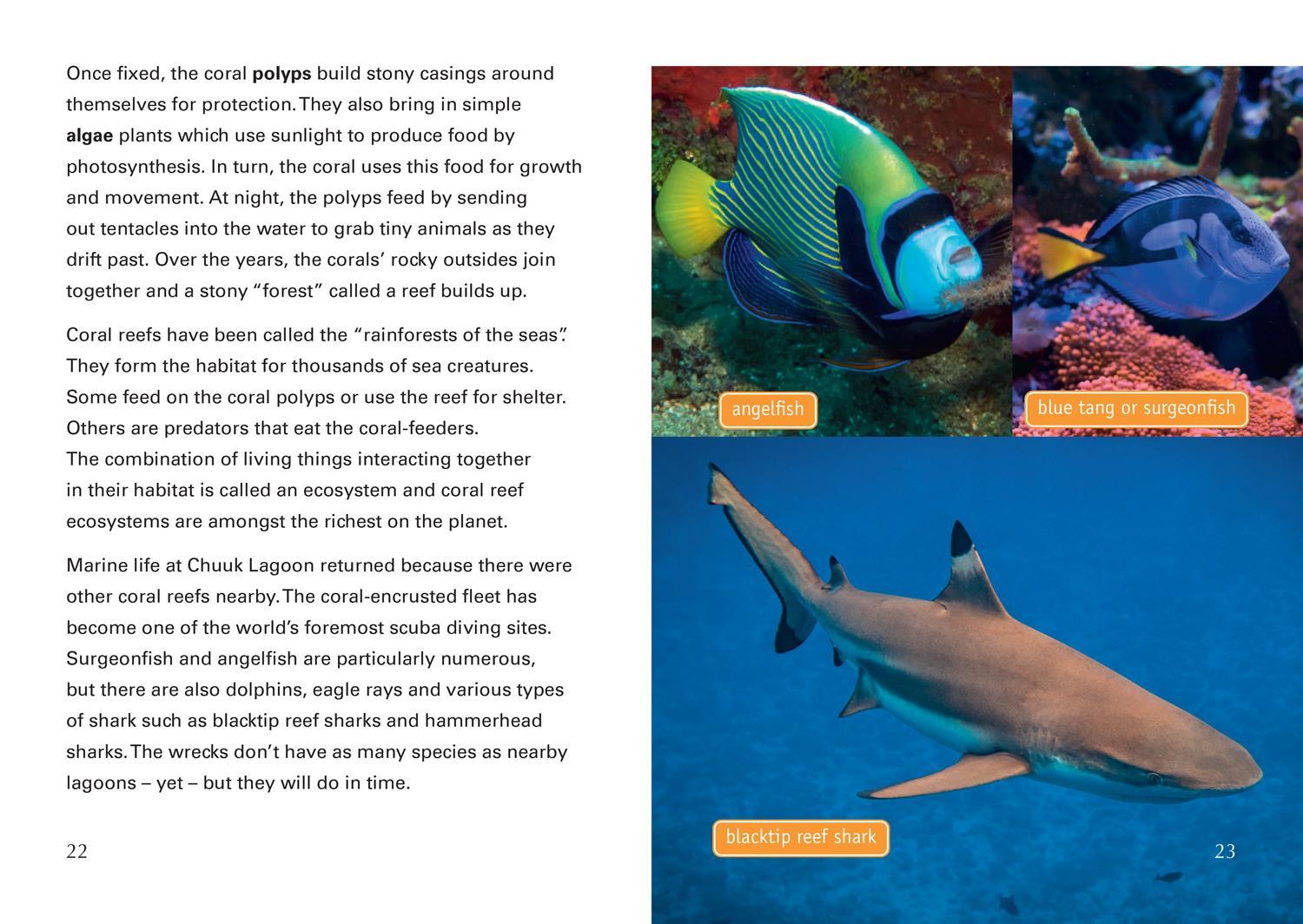 Beispielinhalt (Bild) Nature Fights Back