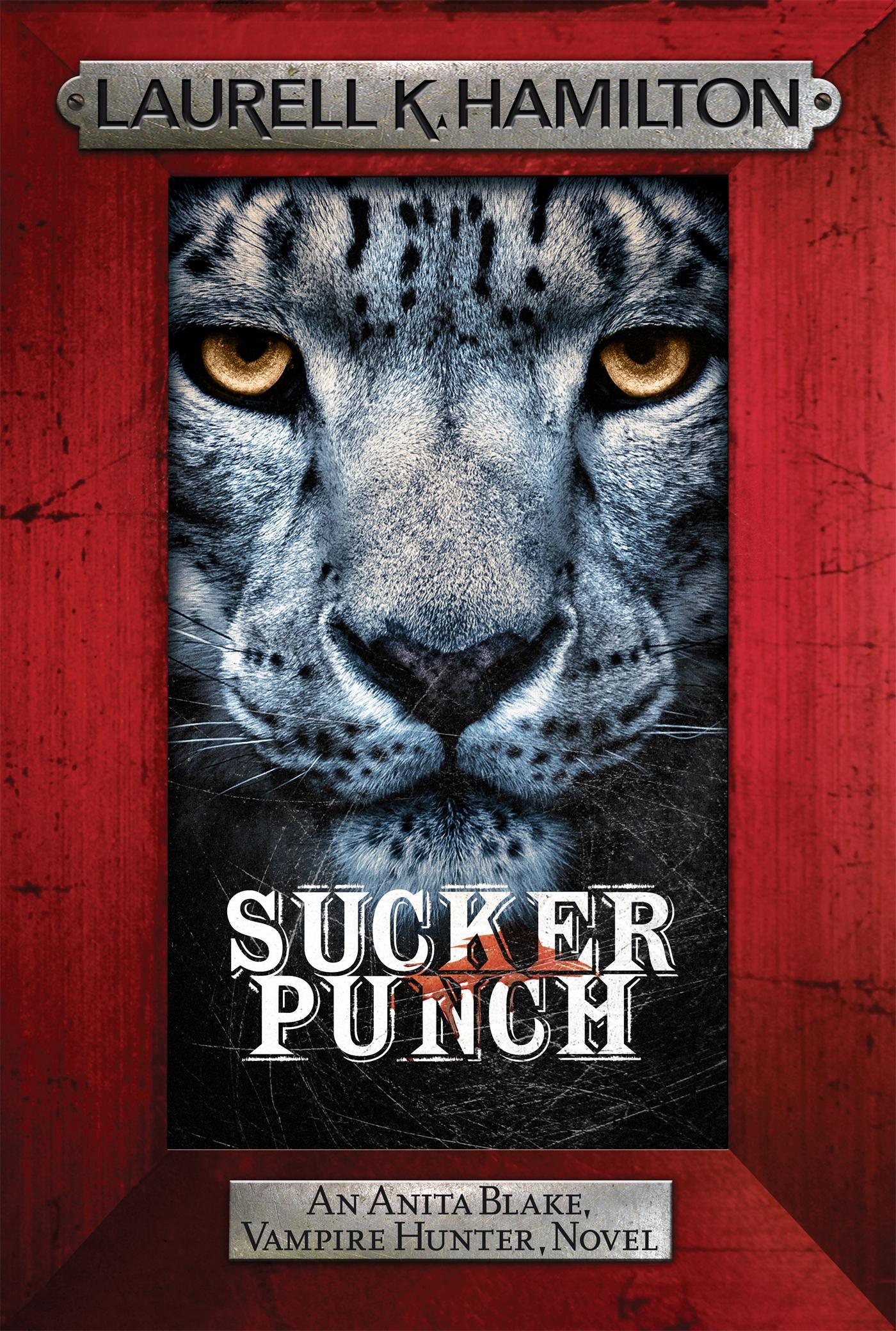 Vorderes Coverbild Sucker Punch