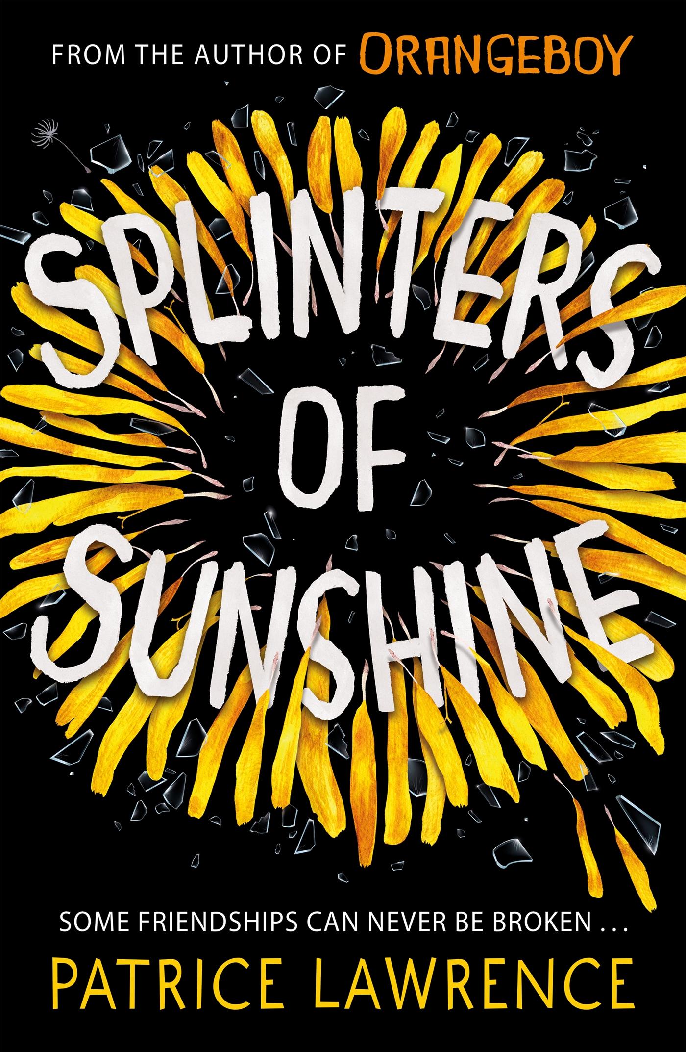Vorderes Coverbild Splinters of Sunshine