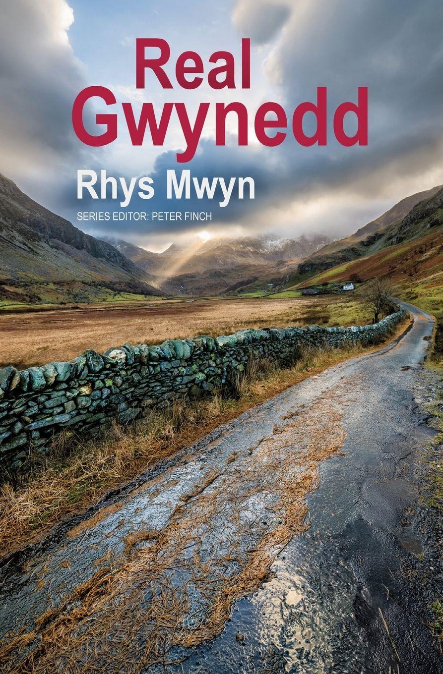 Vorderes Coverbild Real Gwynedd