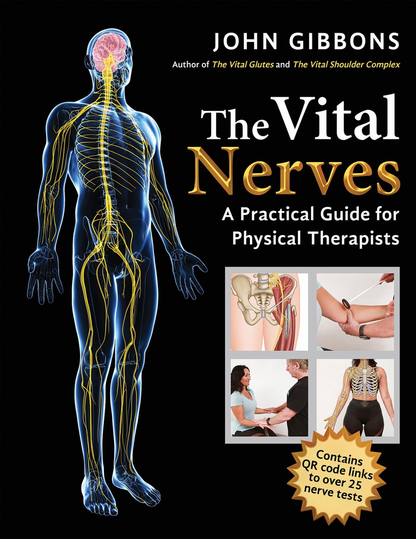 Vorderes Coverbild The Vital Nerves