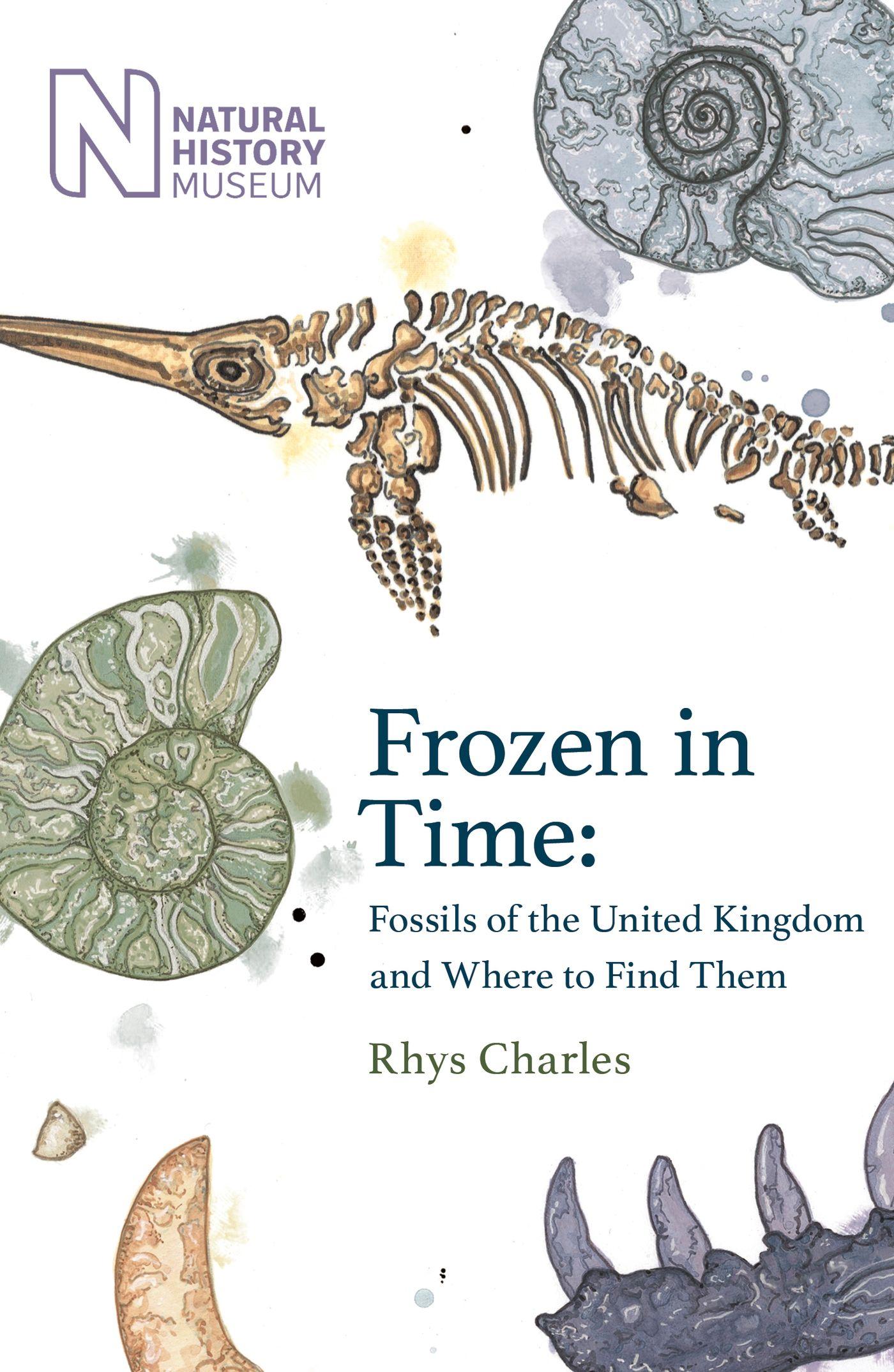 Vorderes Coverbild Frozen in Time