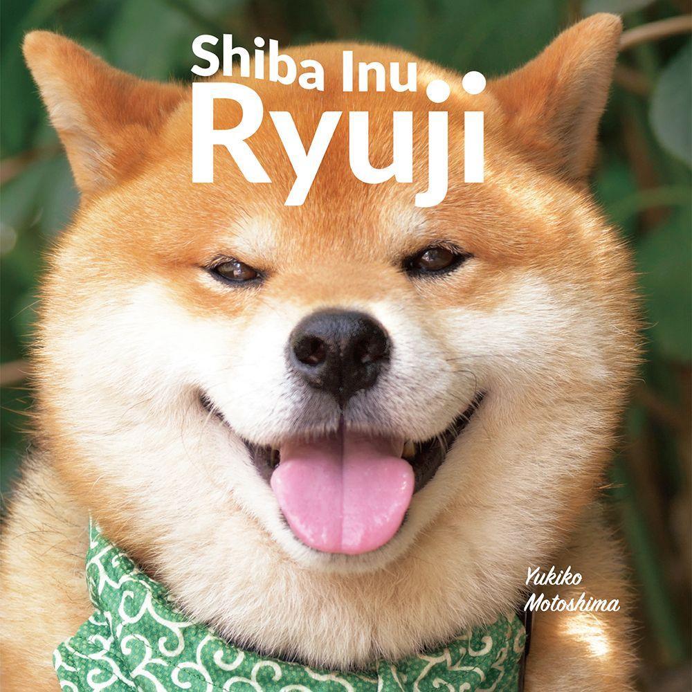 Vorderes Coverbild Shiba Inu Ryuji