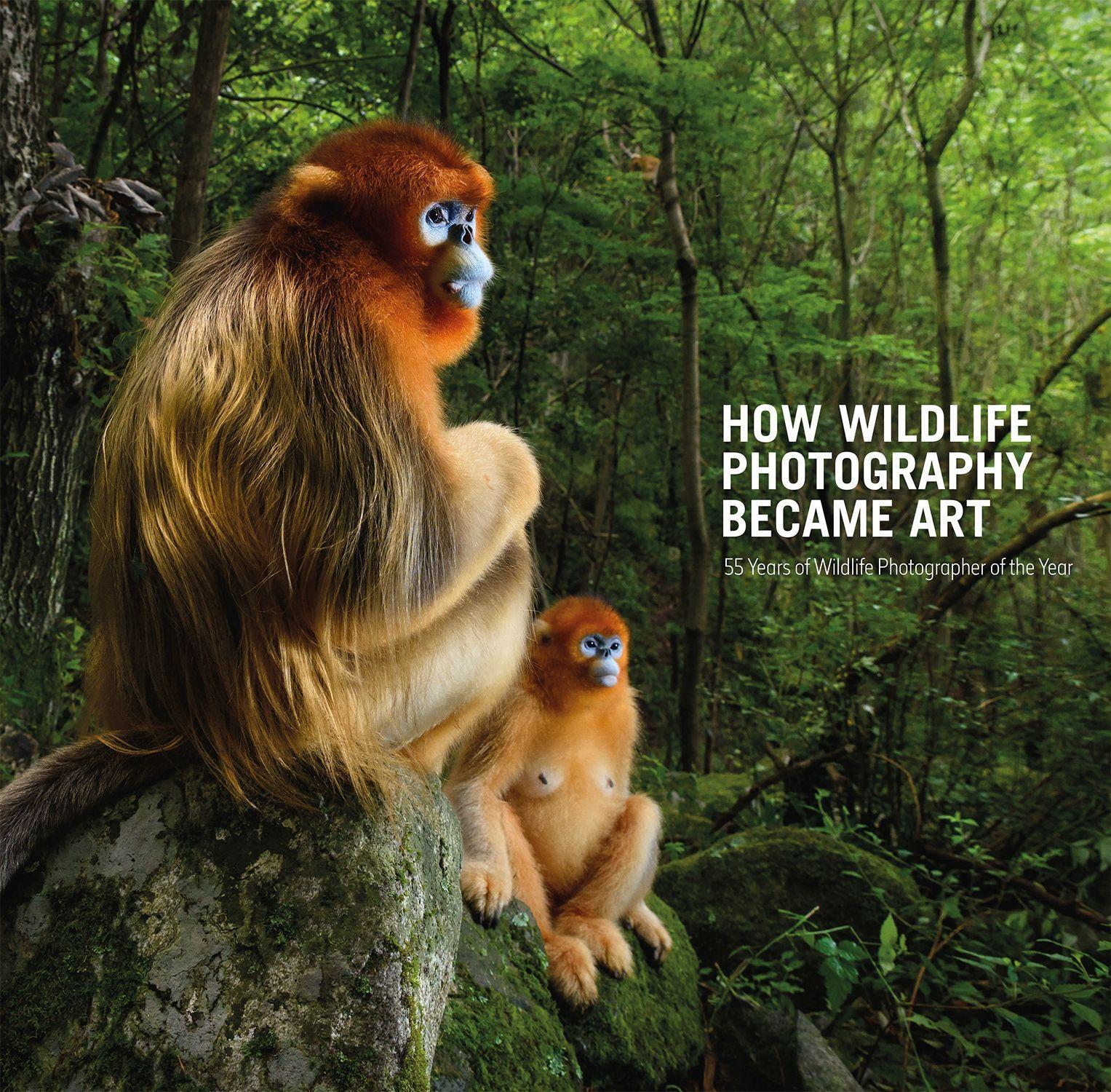 Vorderes Coverbild How Wildlife Photography Became Art