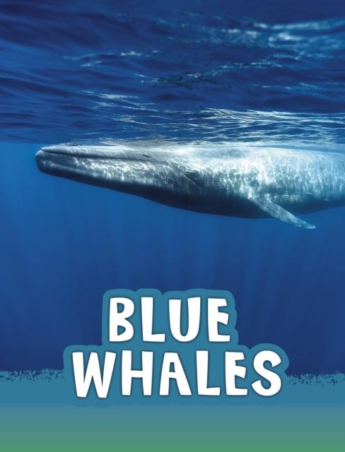 Vorderes Coverbild Blue Whales