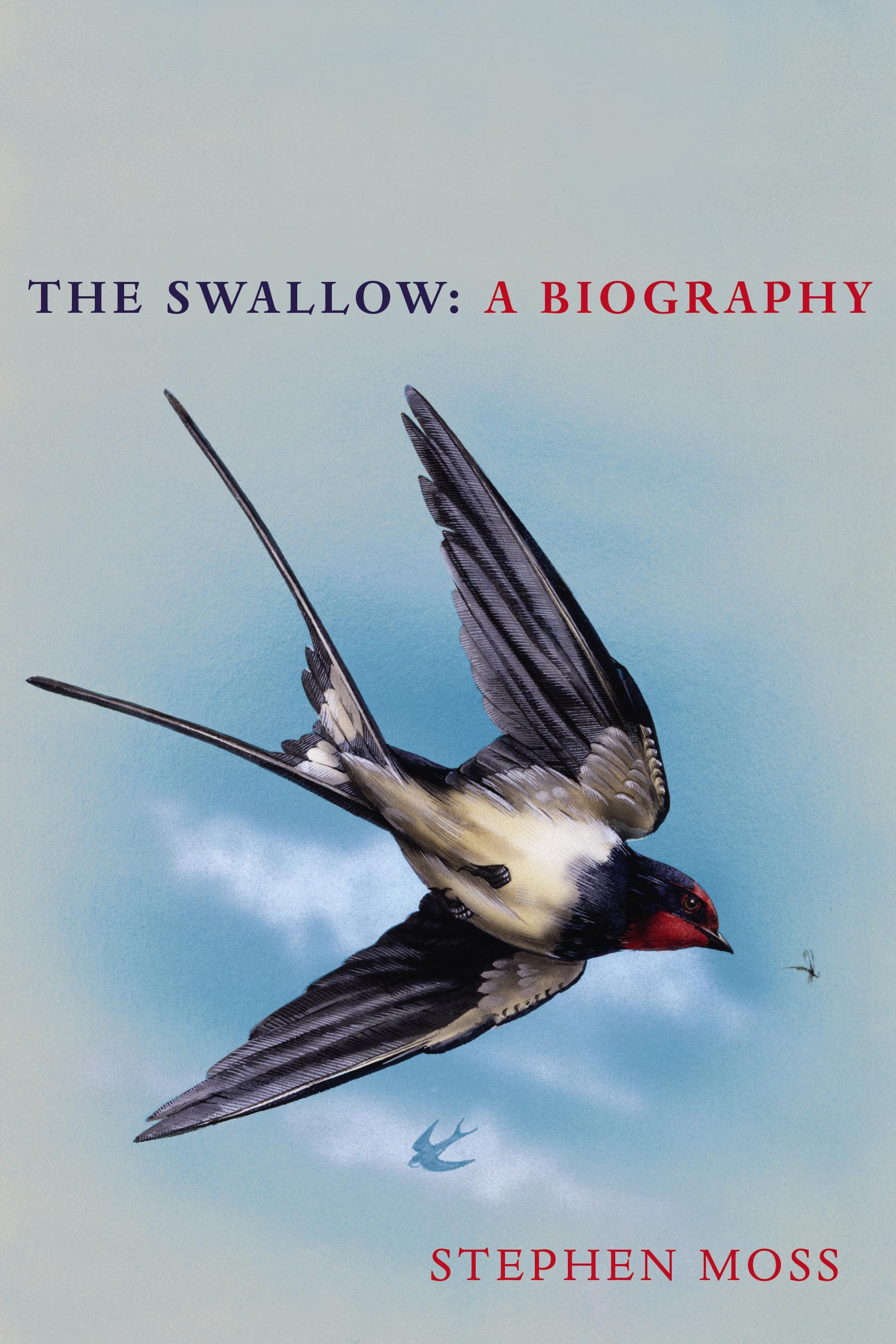 Vorderes Coverbild The Swallow
