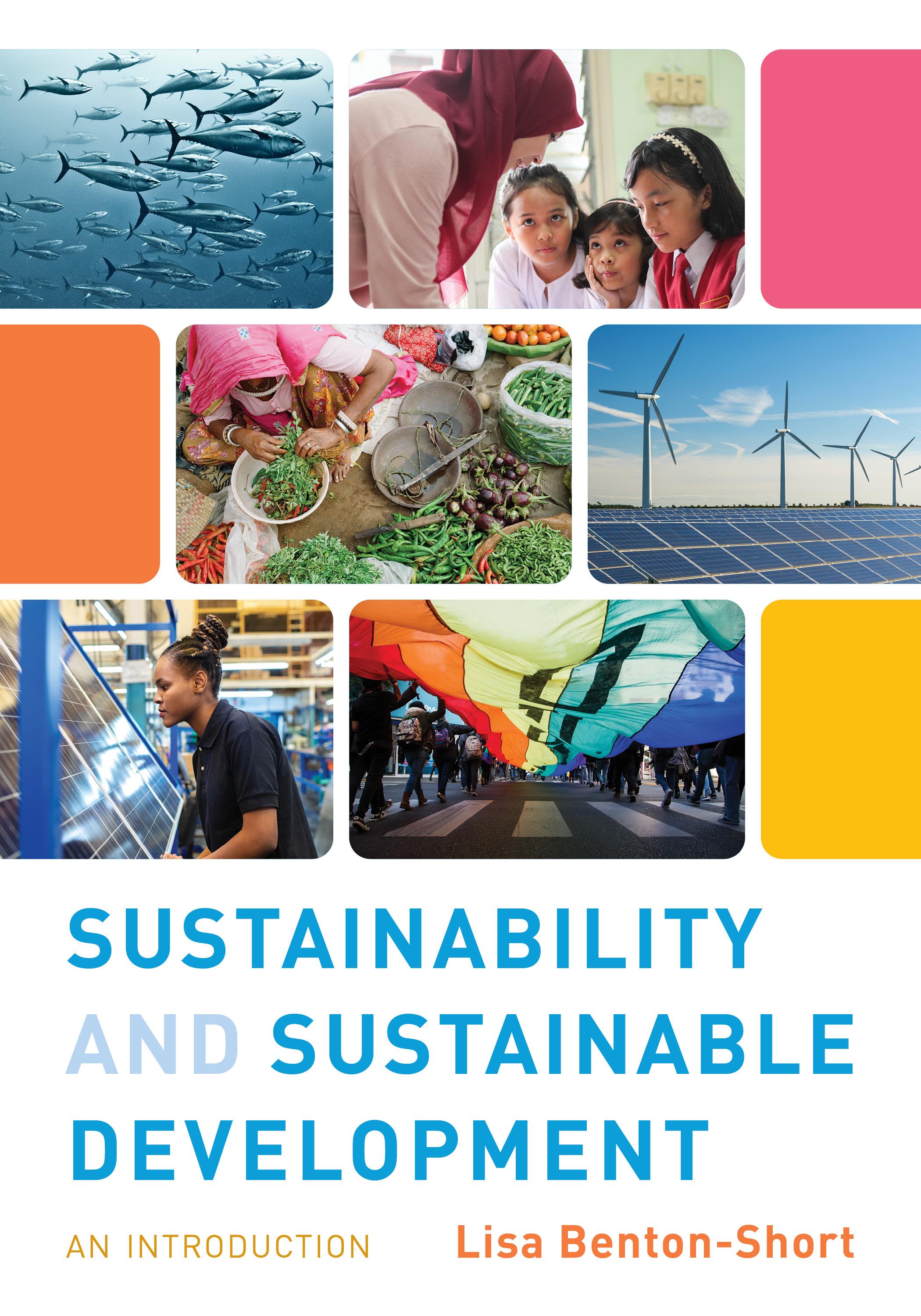 Vorderes Coverbild Sustainability and Sustainable Development