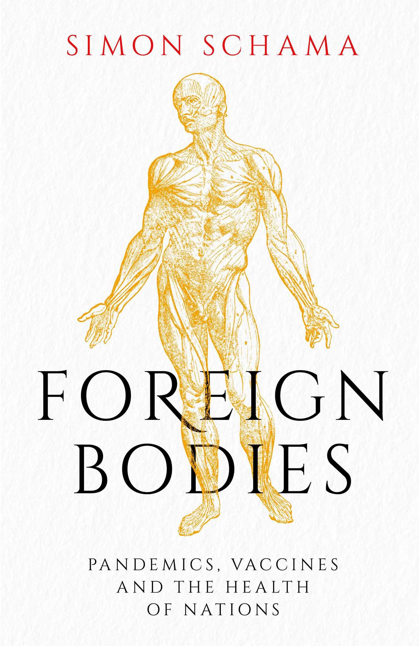 Vorderes Coverbild Foreign Bodies