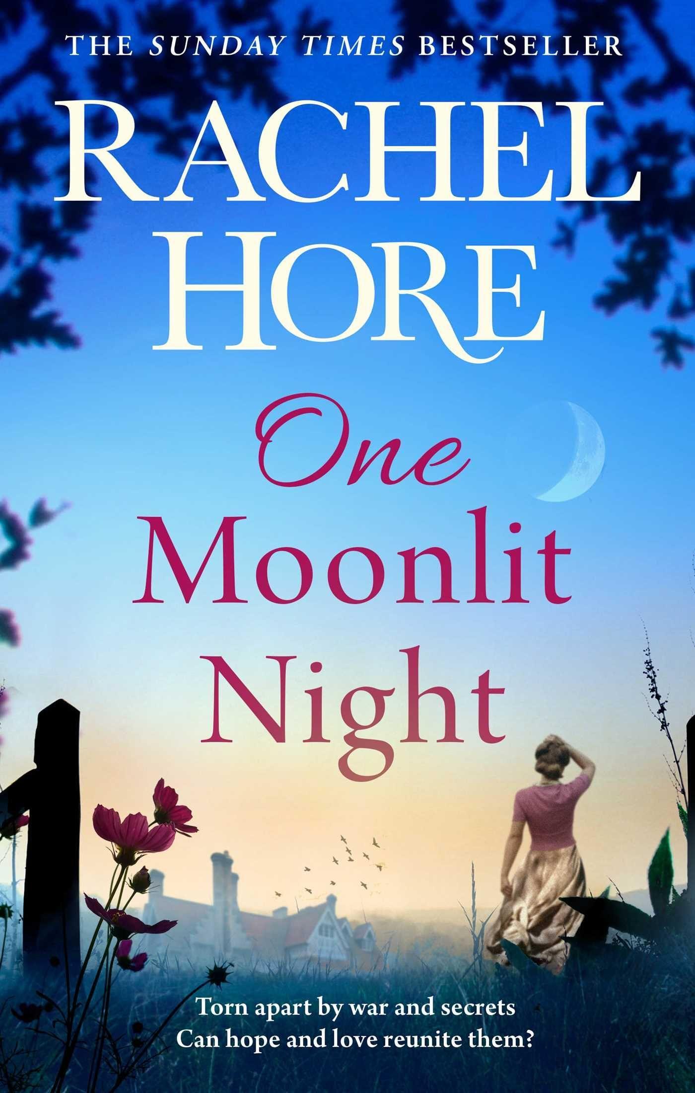Vorderes Coverbild One Moonlit Night