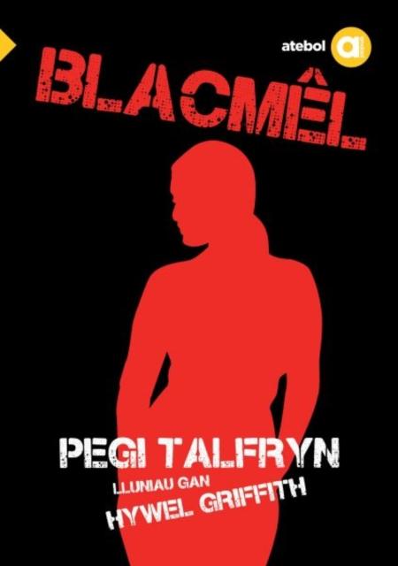 Vorderes Coverbild Cyfres Amdani: Blacmel