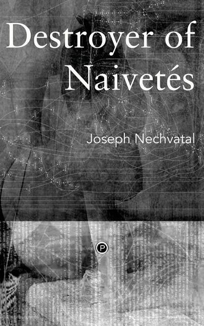 Vorderes Coverbild Destroyer of Naivetés