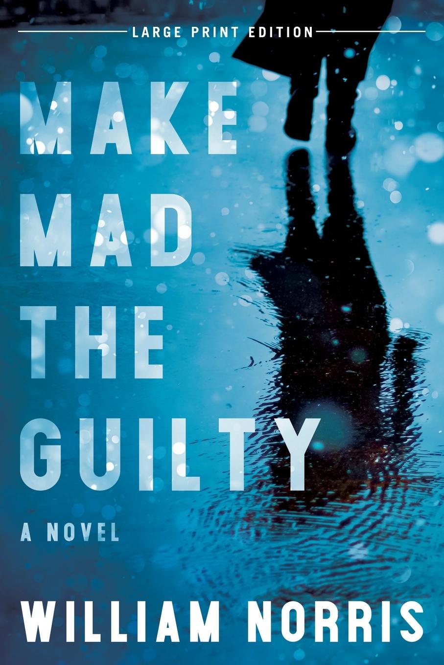 Vorderes Coverbild Make Mad the Guilty