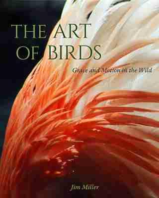 Vorderes Coverbild The Art of Birds