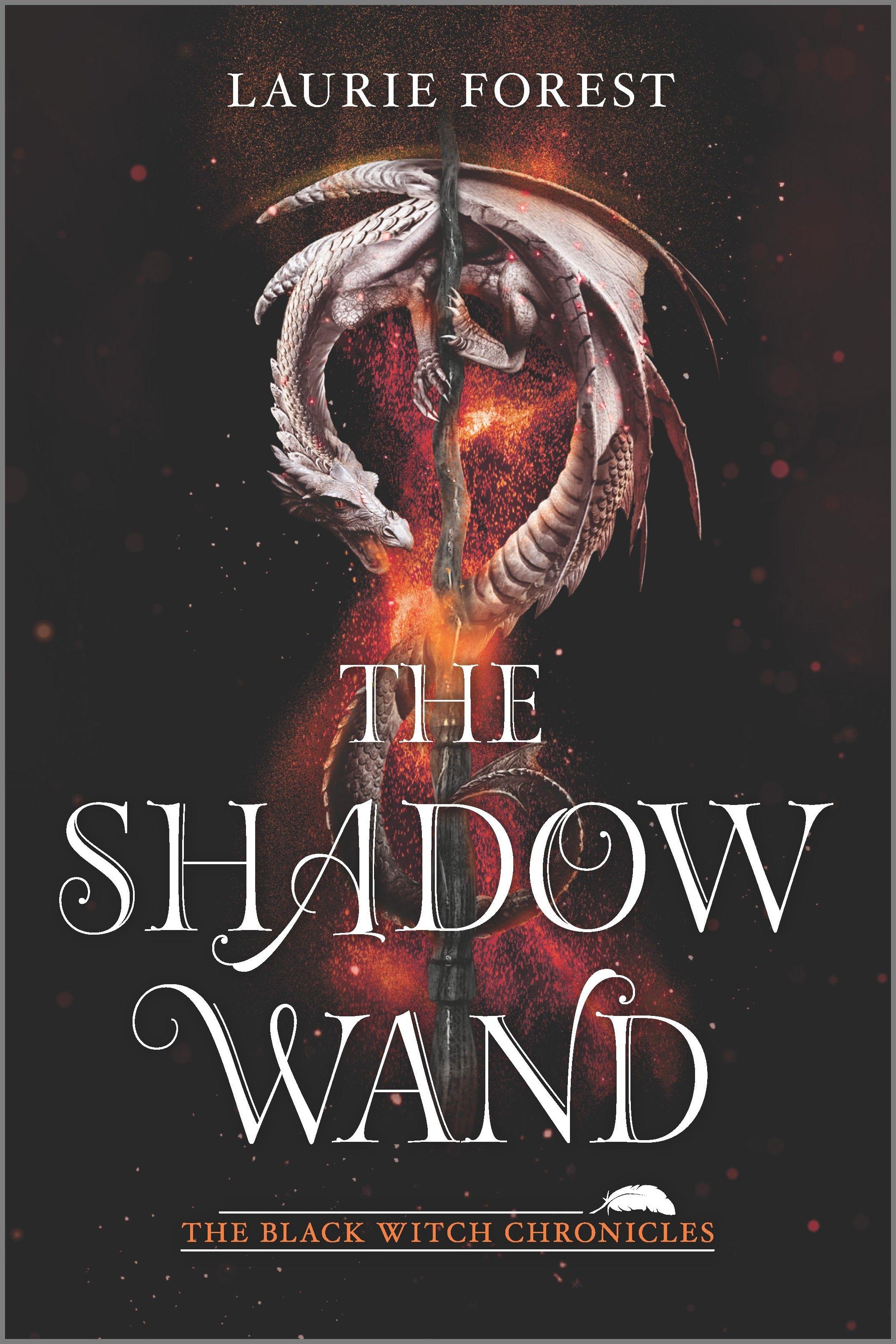 Vorderes Coverbild The Shadow Wand