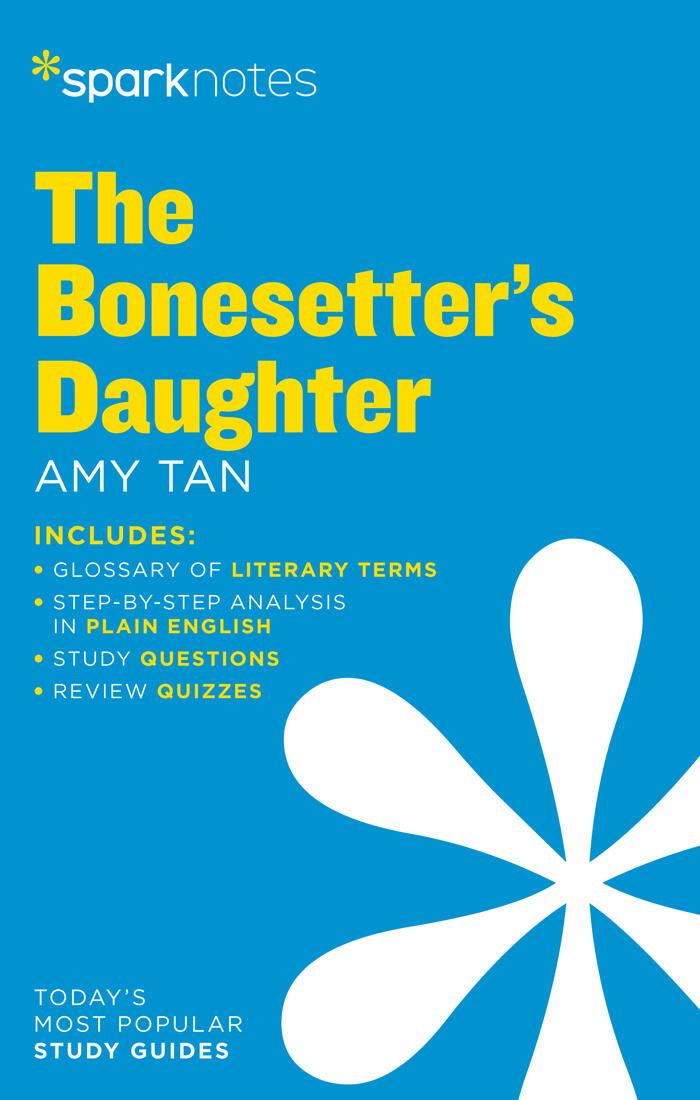 Vorderes Coverbild The Bonesetter's Daughter Sparknotes Literature Guide