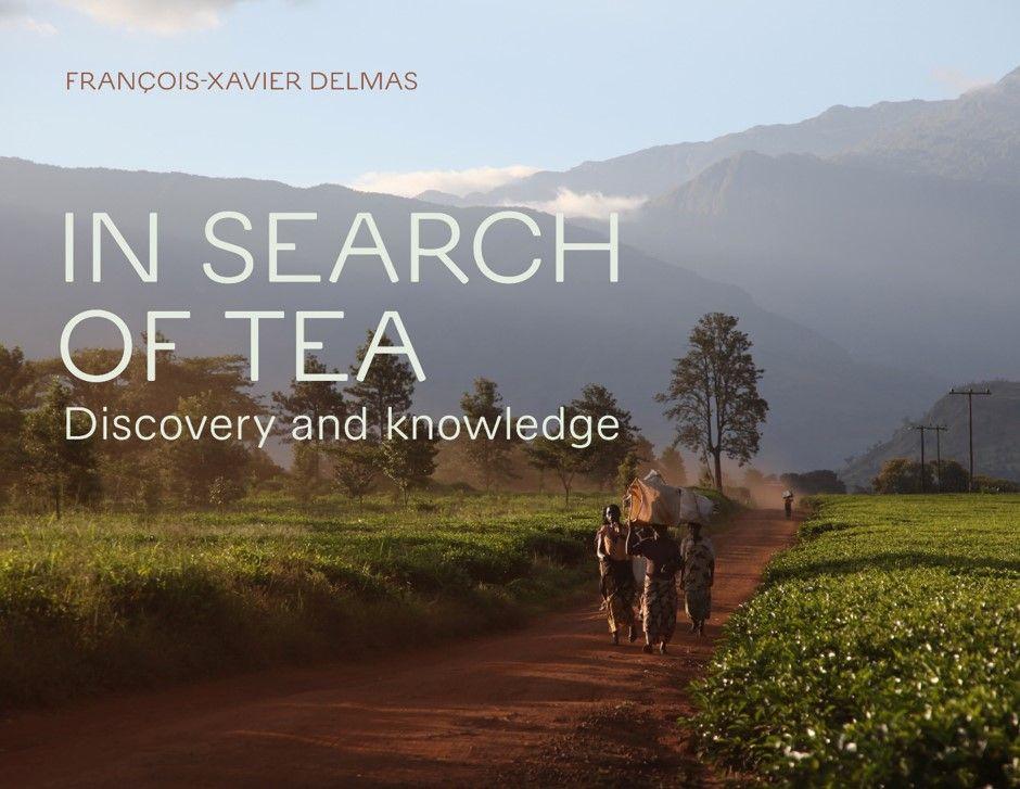 Vorderes Coverbild In Search of Tea