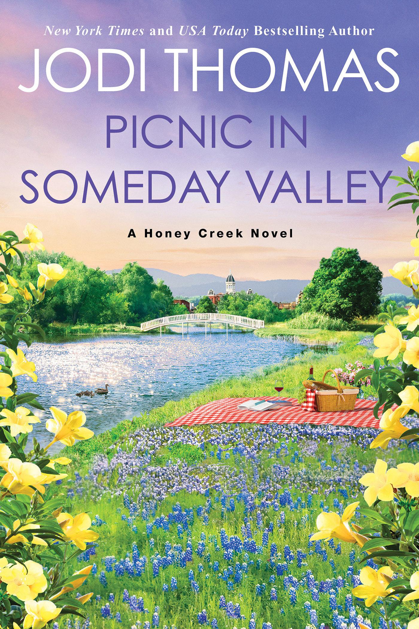 Vorderes Coverbild Picnic in Someday Valley