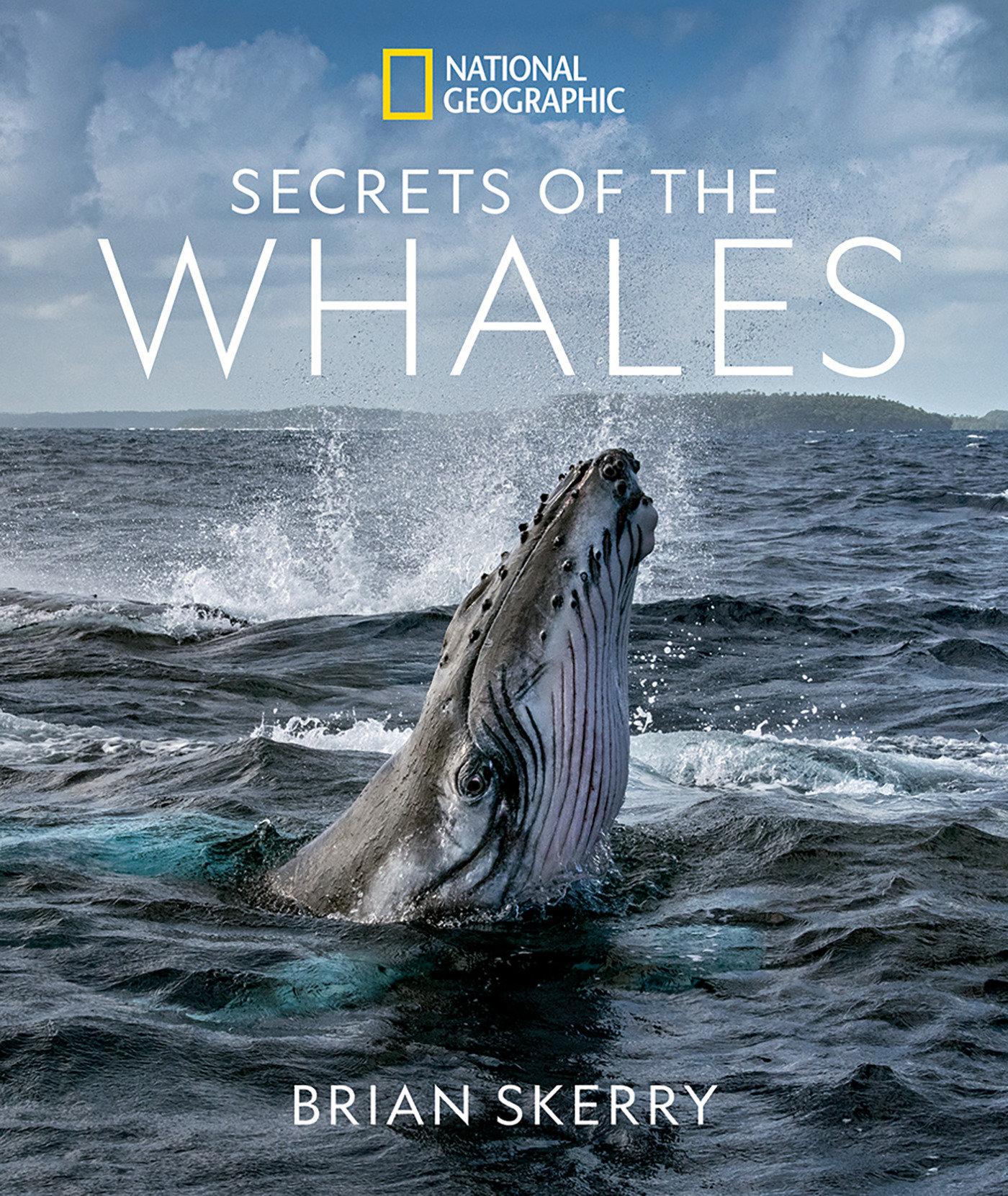 Vorderes Coverbild Secrets of the Whales