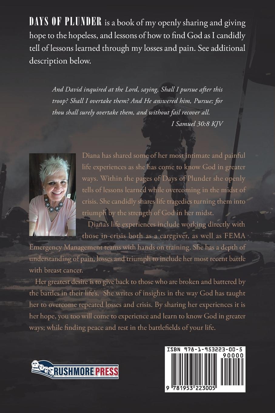 Rückseitencover Days of Plunder