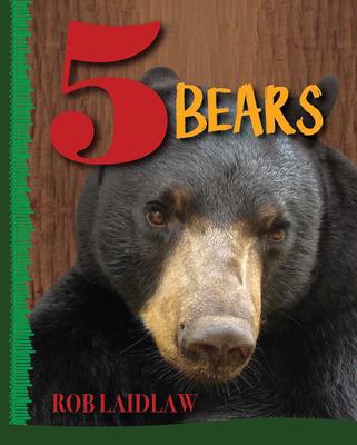 Vorderes Coverbild 5 Bears