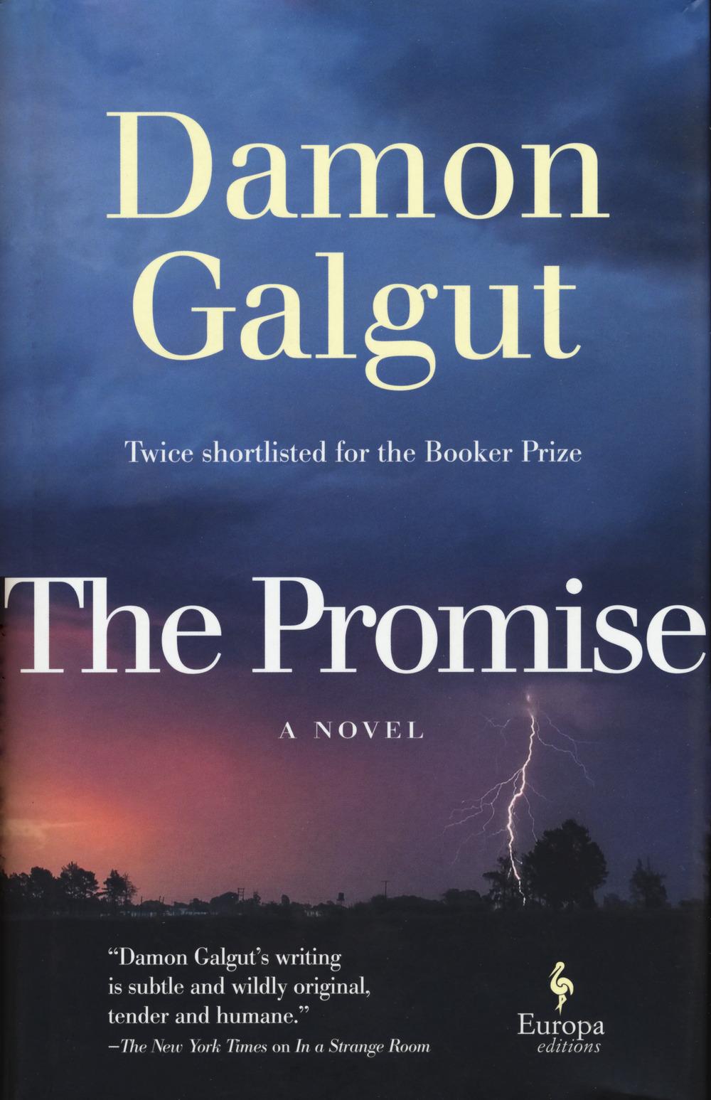 Vorderes Coverbild The Promise