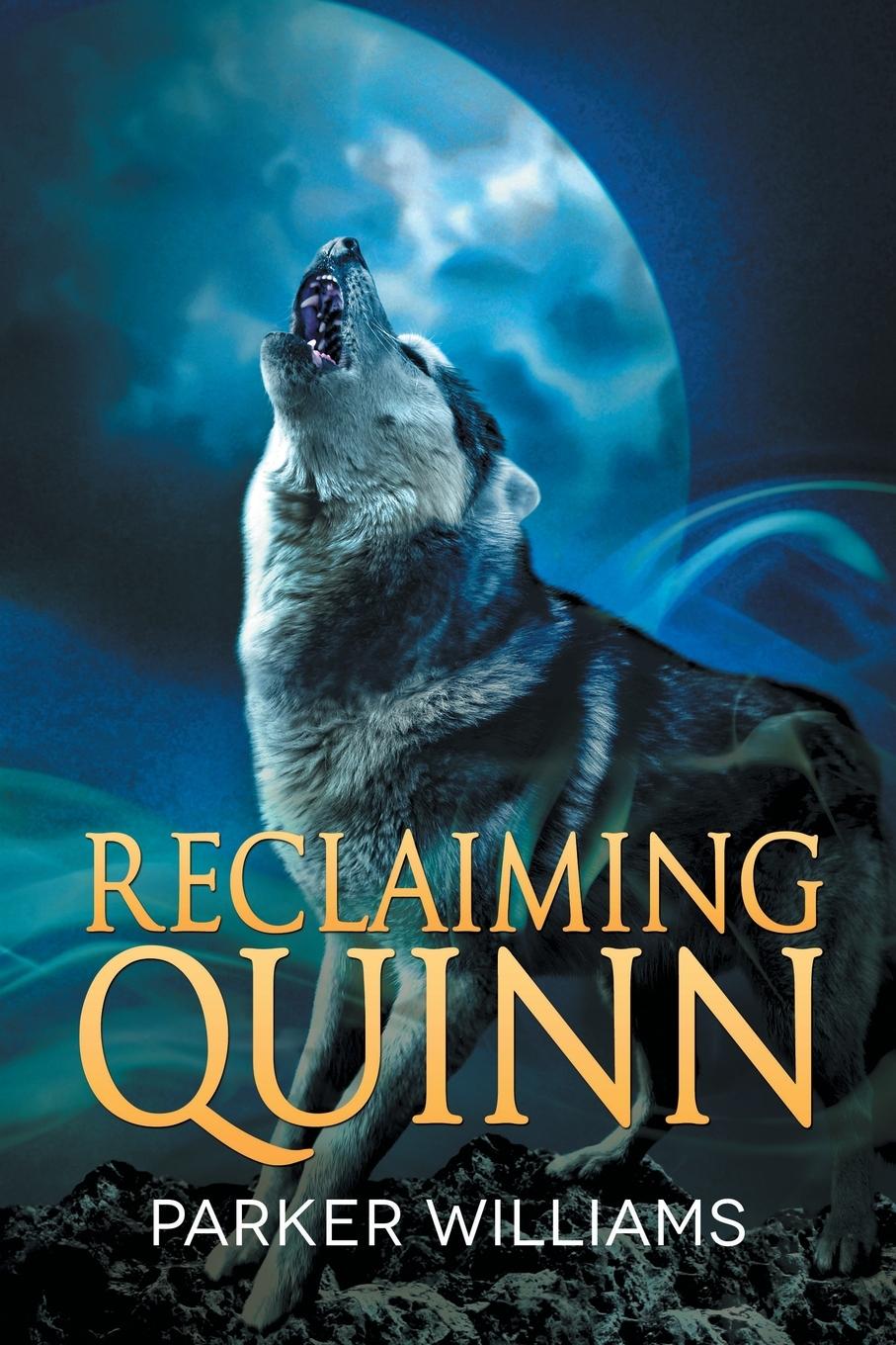 Vorderes Coverbild Reclaiming Quinn