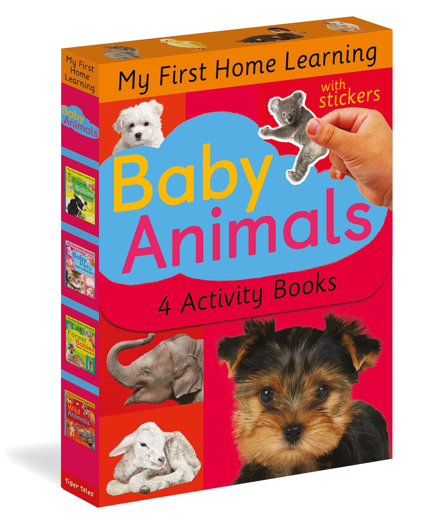 Vorderes Coverbild Baby Animals: 4 Activity Book Boxed Set with Stickers