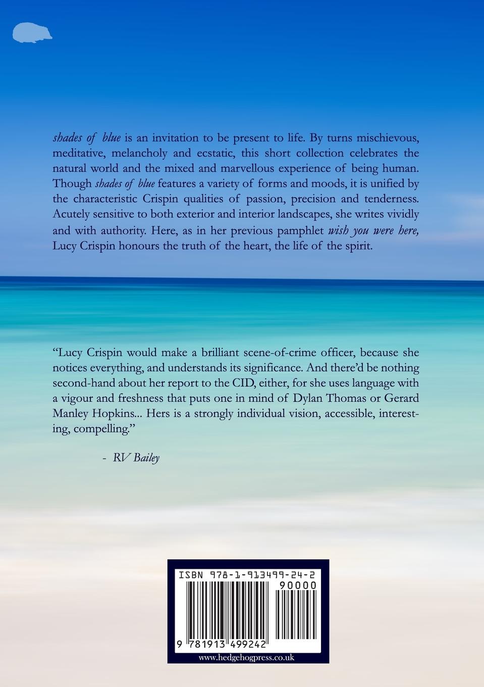 Rückseitencover Shades of blue