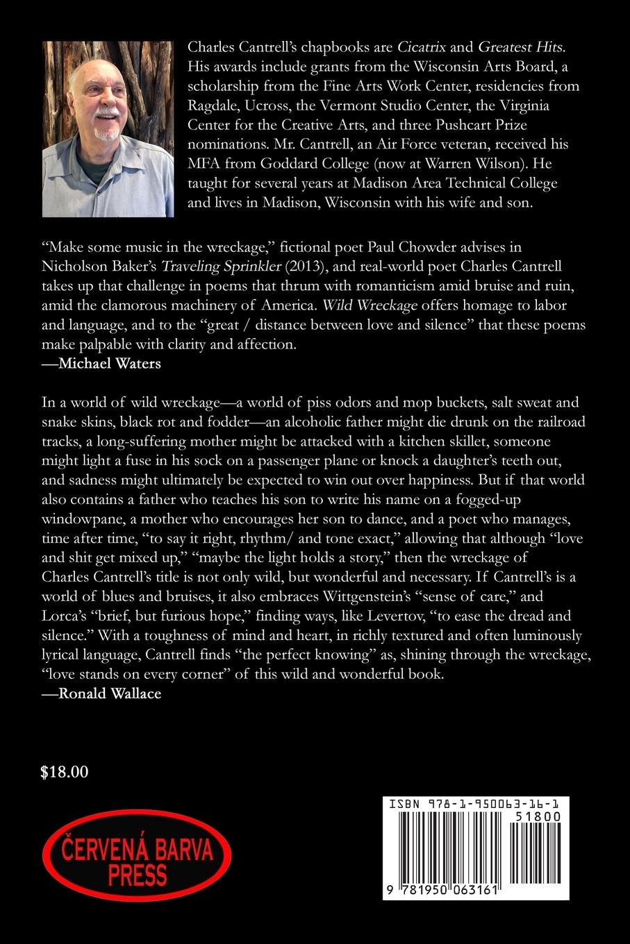 Rückseitencover Wild Wreckage