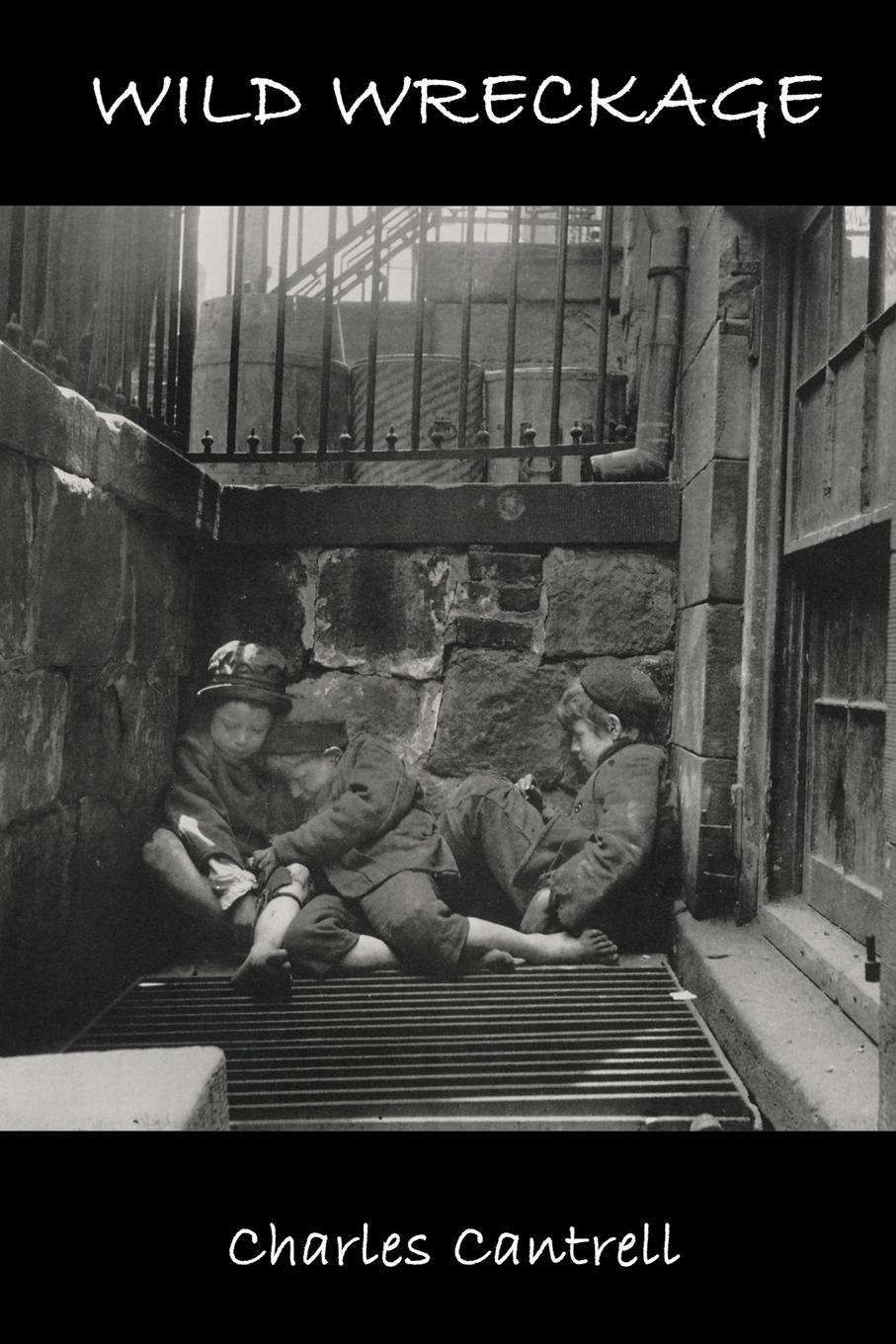 Vorderes Coverbild Wild Wreckage