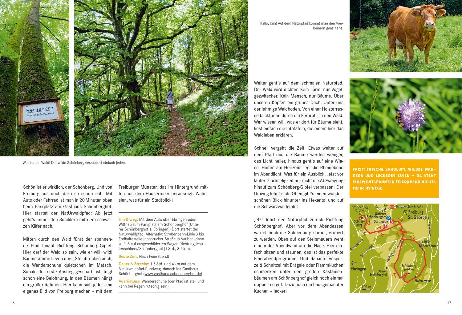 Beispielinhalt (Bild) 52 kleine & große Eskapaden in und um Freiburg