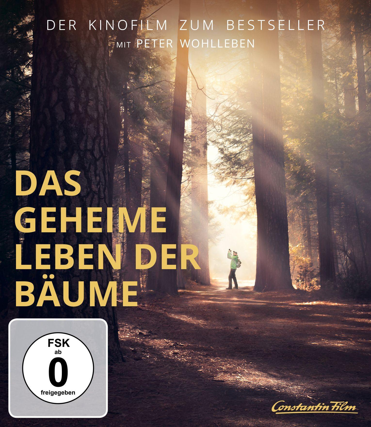 Vorderes Coverbild Das geheime Leben der Bäume
