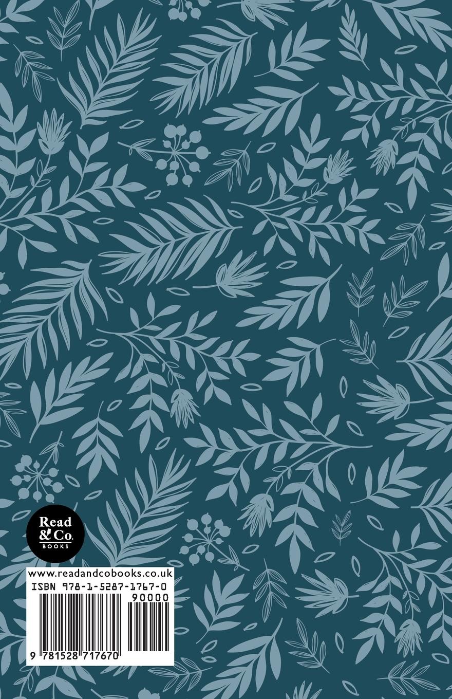 Rückseitencover The Poet and His Book