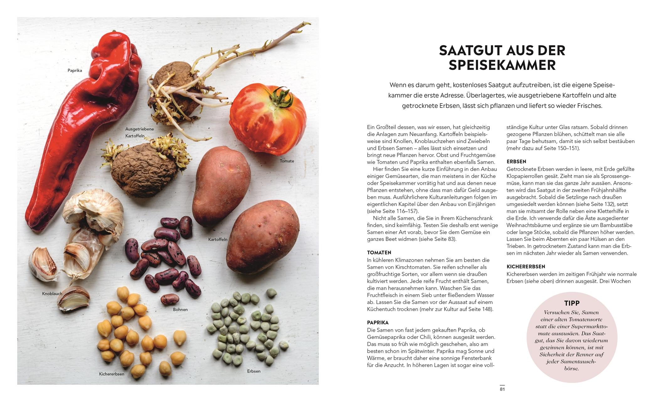 Beispielinhalt (Bild) Frische Ernte zum kleinen Preis